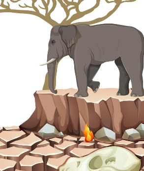 Depression Test Elephant or Tree